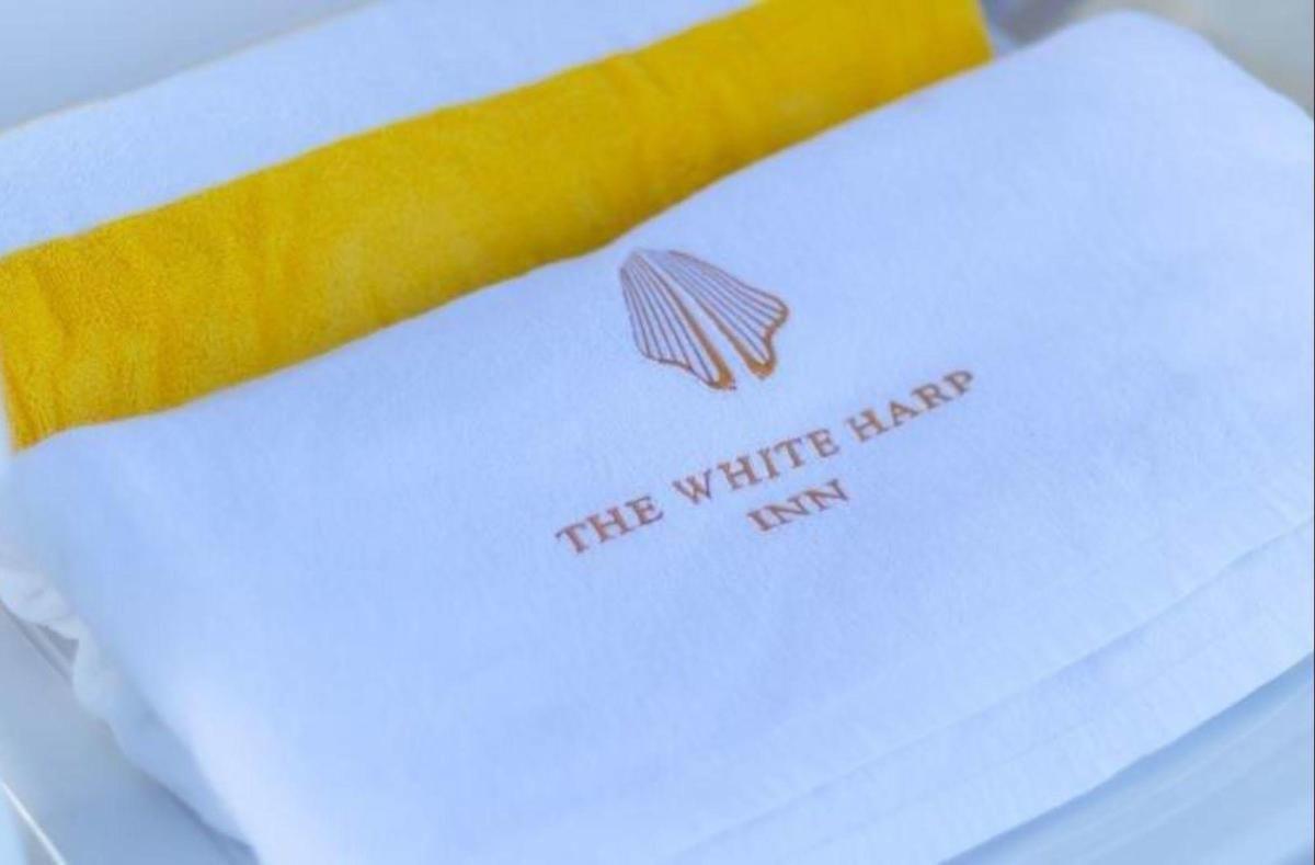 Blue and Yellow Harp Logo - AMOMA.com - White Harp Beach,Male, Maldives - Book this hotel