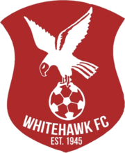 White Hawks Logo - Whitehawk F.C
