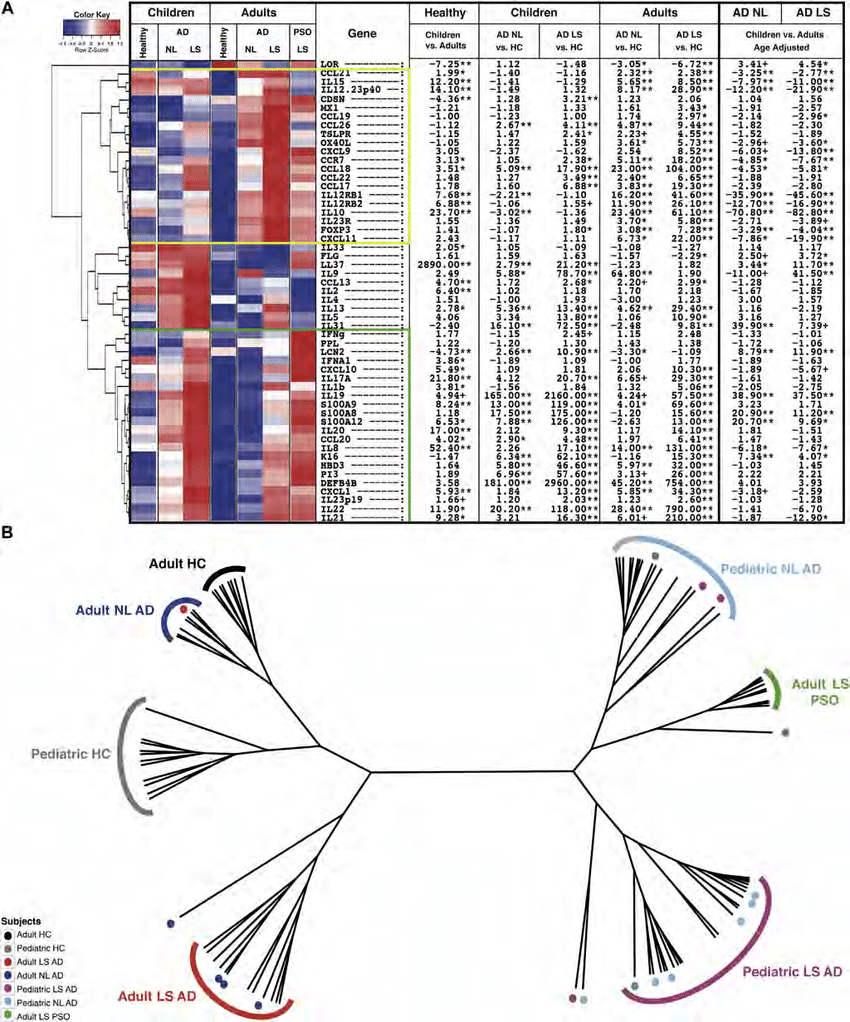 Blue and Yellow Harp Logo - Unsupervised Hierarchical Clustering Of MRNA HARP Expression. A