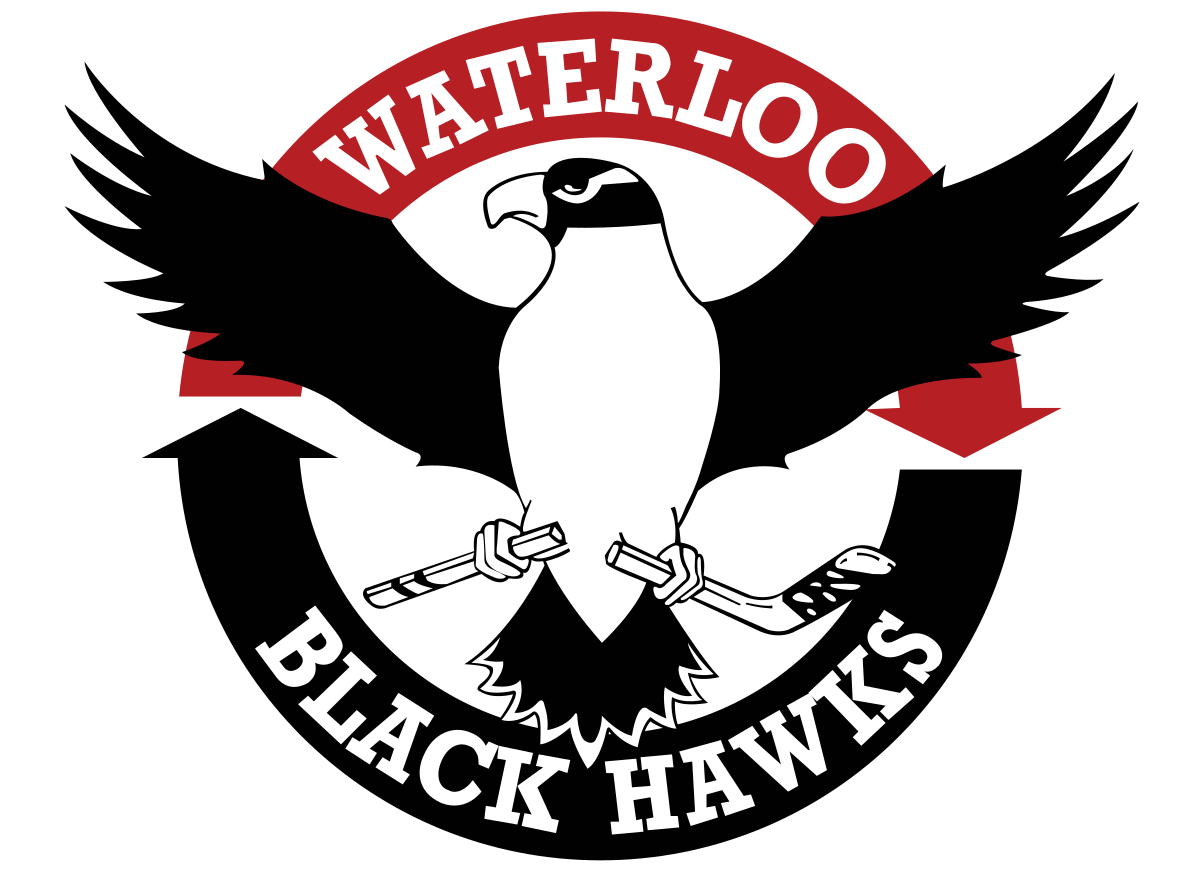Black Hawk Bird Logo - Waterloo Black Hawks
