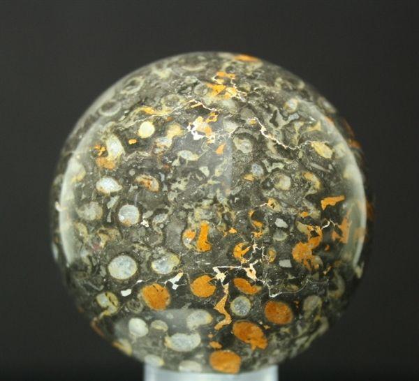Grey Yellow Sphere Logo - Spheres To You. Yellow and Grey Chinese Fossil Coral Sphere