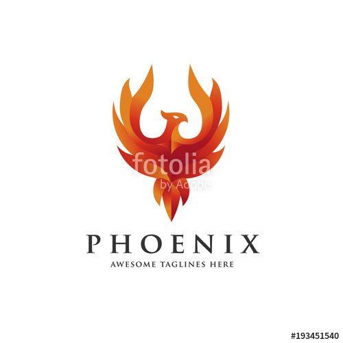 Pheonix Bird Logo - luxury phoenix logo concept, best phoenix bird logo design, phoenix