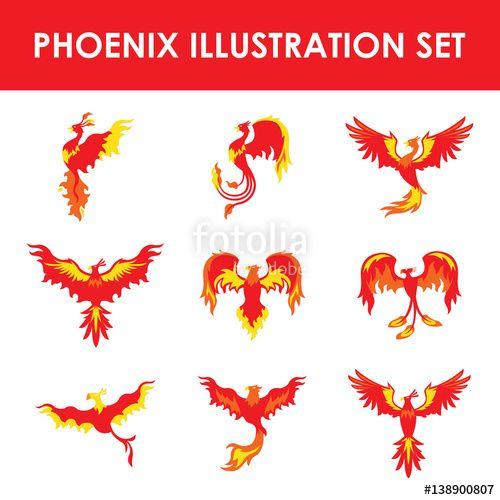 Phoenix Bird Logo - Phoenix bird logo design template