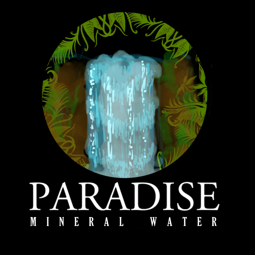 Paradise Water Logo - Paradise Water Logo on Behance