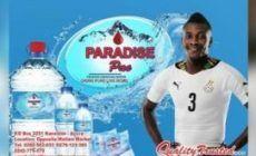 Paradise Water Logo - Paradise Pac mineral water | 233times.com
