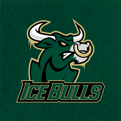 South Florida Bulls Logo - The Bulls Pen - The #1 USF Bulls Fans Community - South Florida Bulls