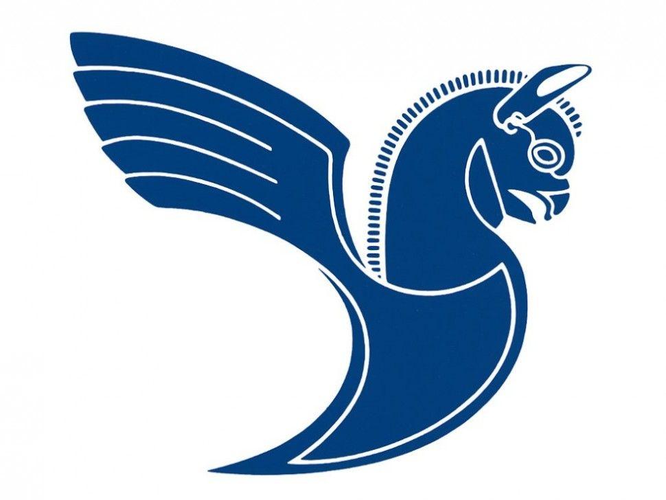 National Airlines Logo - History of Iran National Airline