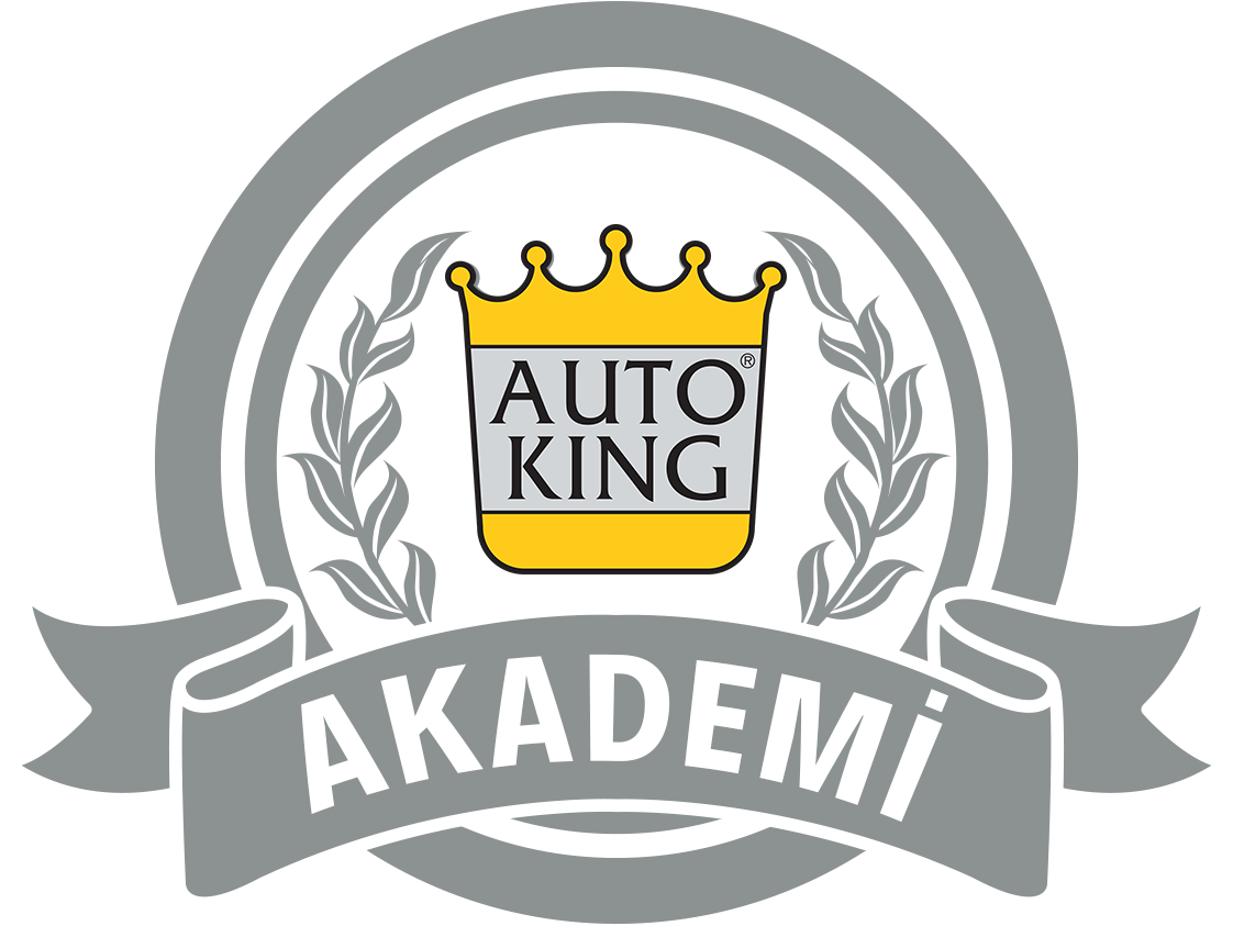 Auto King Logo - AUTO KING