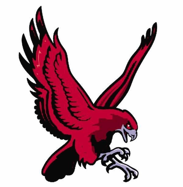 Skyhawk Bird Logo - SkyHawk Logo HIGH RES small. HD Stafford Middle School