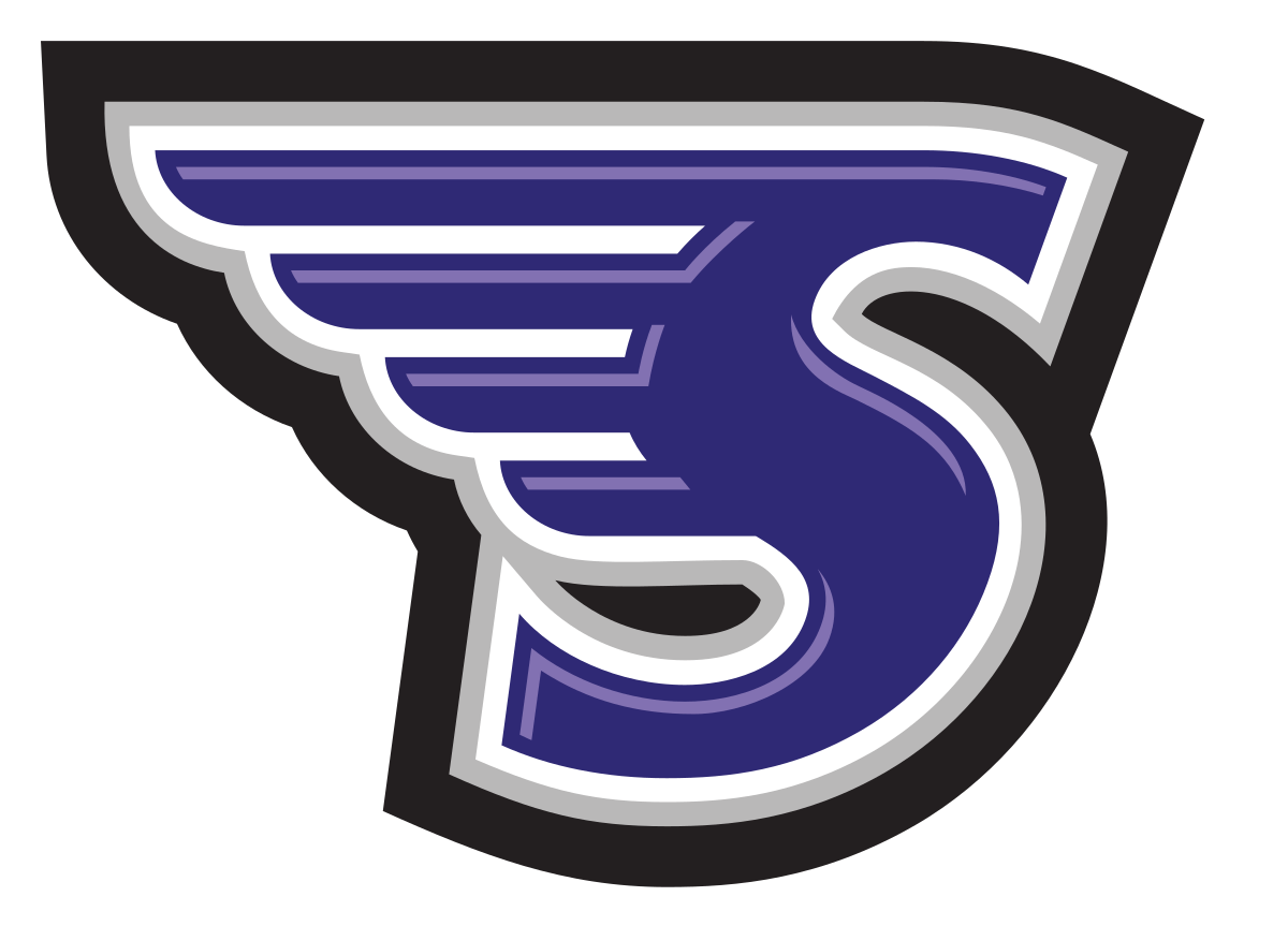 Skyhawk Bird Logo - Stonehill Skyhawks