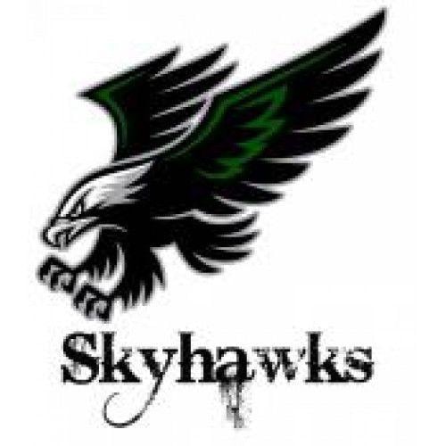 Skyhawk Bird Logo - Strathclair School Skyhawks Temporary Tattoo