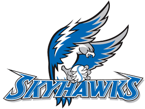 Skyhawk Bird Logo - Orthopedic Institute Named Sussex Skyhawks Team Doctors