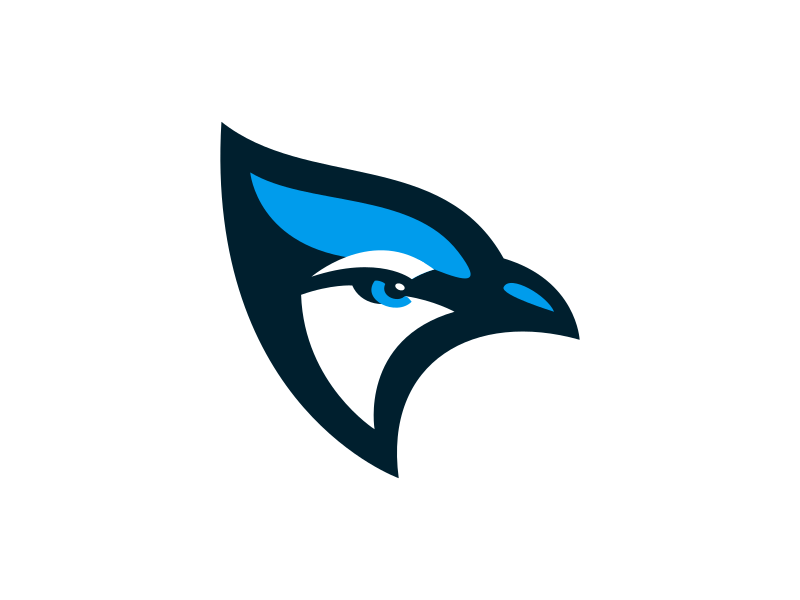 Generic Sports Logo - Blue Jays Logo Creamer's Sports Logos Community