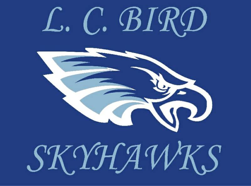 Skyhawk Bird Logo - Home