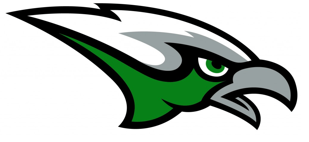 Skyhawk Bird Logo - Pin by Chris Basten on Eagles Logos | Logos, Sports logo, School logo