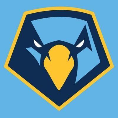 Skyhawk Bird Logo - Point Skyhawks. Logos Ilustrados. Logo