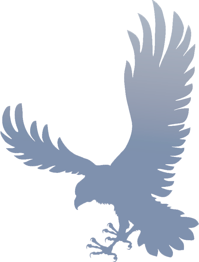 Skyhawk Bird Logo - Nothing Here. Salem Hills High School
