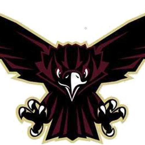 Skyhawk Bird Logo - Skyhawk Varsity Football High School