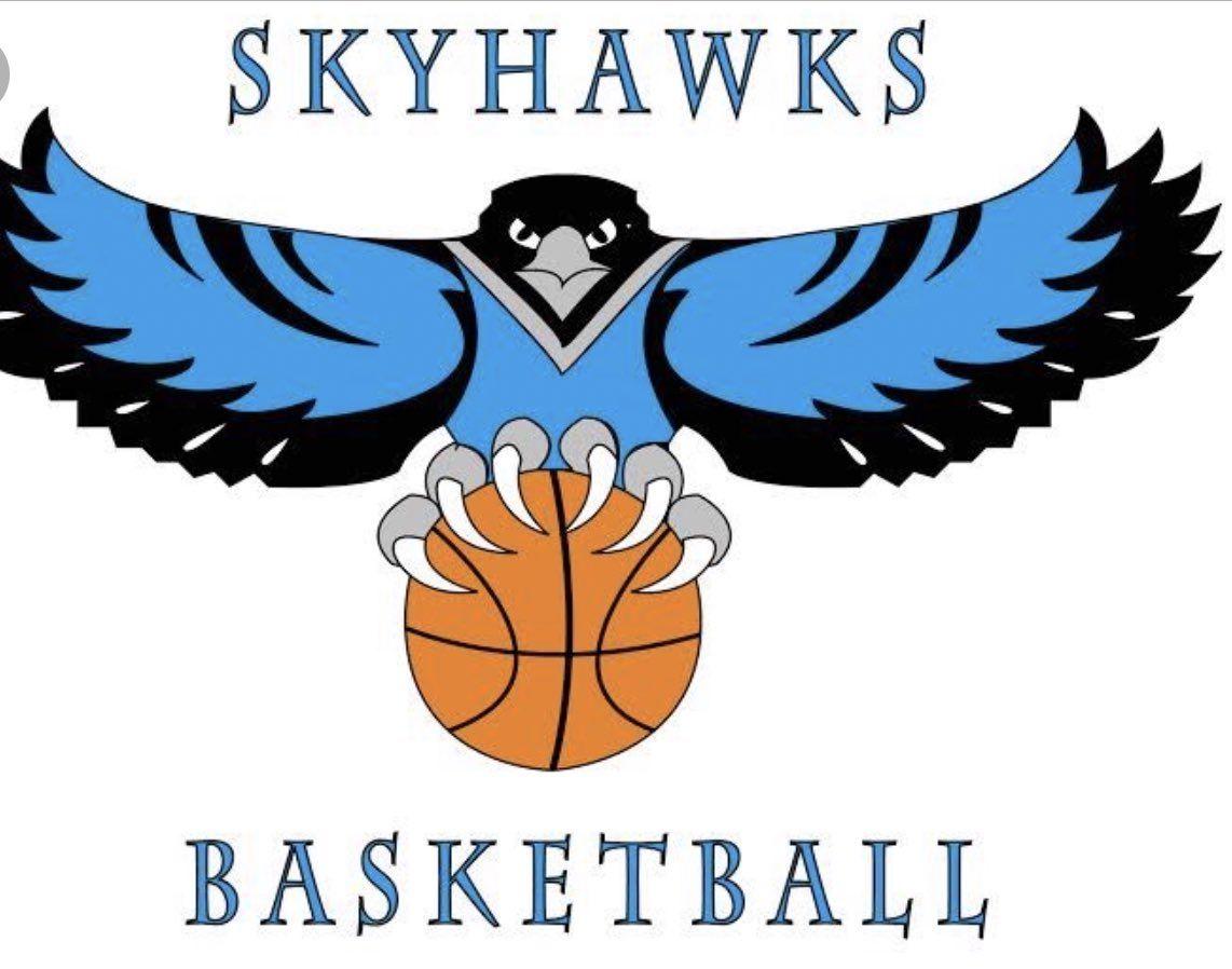 Skyhawk Bird Logo - L.C. Bird Baseball