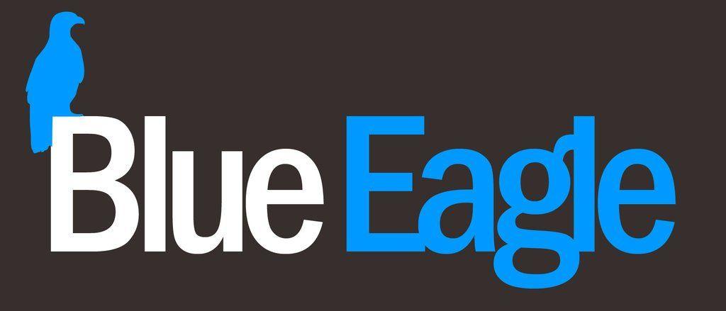 Blue Eagle Enterprises Logo - Eagle Enterprises Blue Logo
