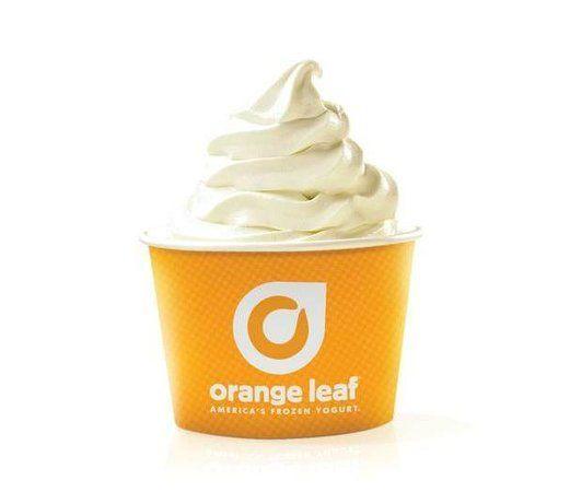 Orsnge Leaf Logo - Orange Leaf Frozen Yogurt Logo of Orange Leaf Frozen