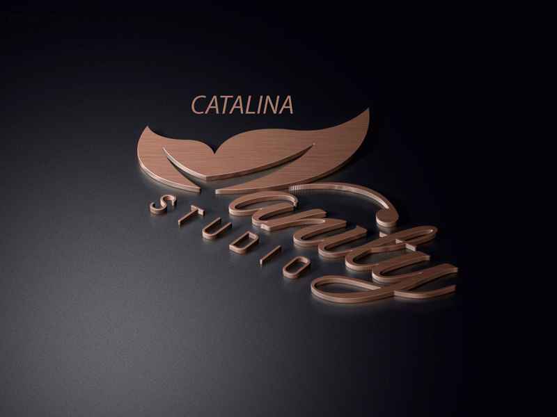 Catalina Car Logo - Catalina Vanity Studio | Catalina Island