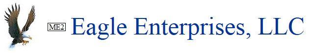 Blue Eagle Enterprises Logo - Eagle Enterprise Main