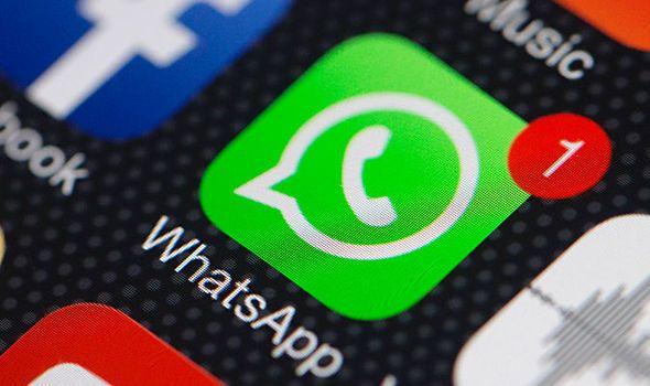 Green Badge Logo - WhatsApp update brings 'green badges' to some users, do YOU have one