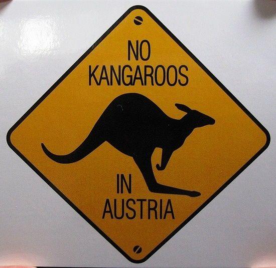 No Kangaroo Logo - Teddy's Internet Travels. Austria