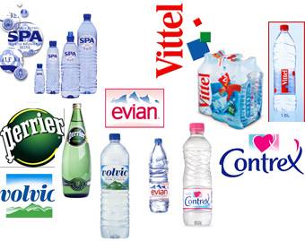 French Bottled Water Logo - Water 4 Life: Introduction: Market Overview