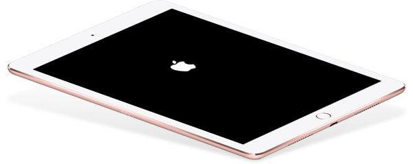 iPad Logo - Issue Solved Restart iPad Stuck on Apple Logo