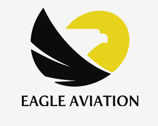 Eagle Aviation Logo - eagle AVIATION Designed