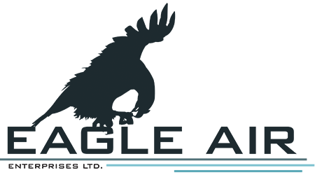 Eagle Aviation Logo - Eagle Air Enterprises. About Our Company