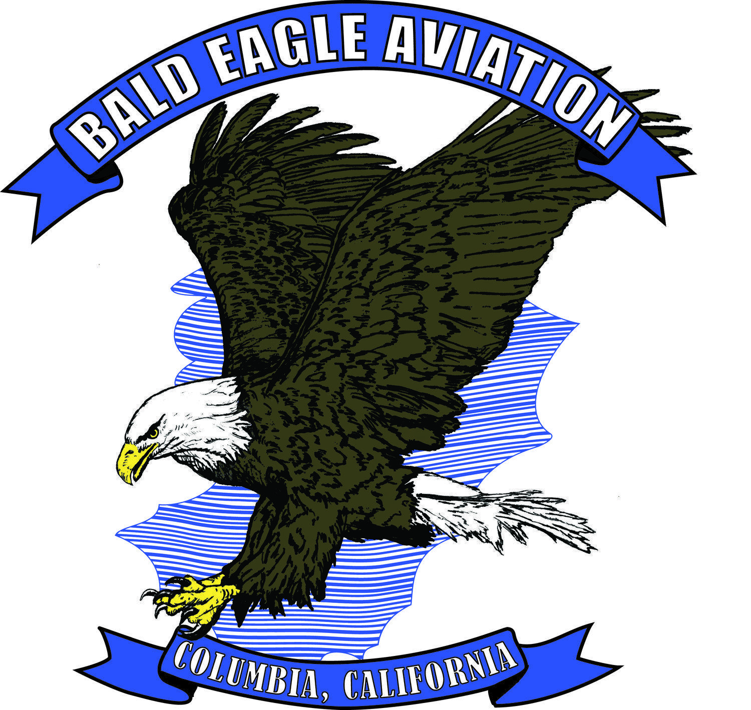 Eagle Aviation Logo - Bald Eagle Aviation