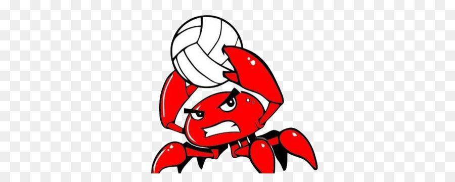 Red Crab Logo - Crab Logo Volleyball Clip art - Red Crabs png download - 1024*390 ...