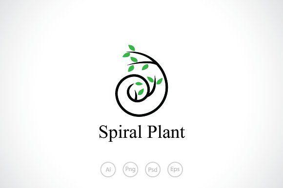 Green Spiral Logo - Spiral Plant Logo Template ~ Logo Templates ~ Creative Market