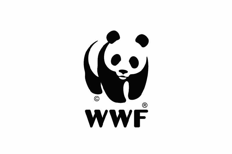 WWF Logo - Transforming WWF Logo | HYPEBEAST