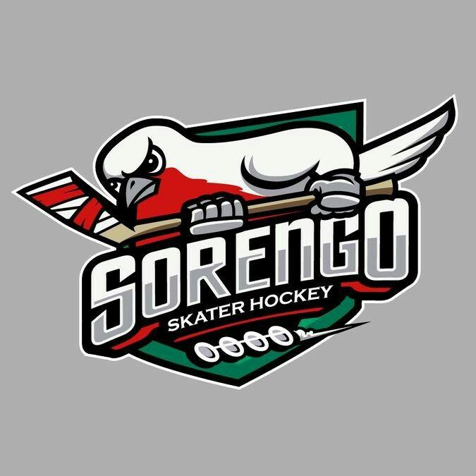 Cool Hockey Logo - Pin by Peter Nguyen on Artwork designs | Sports logo, Logos, Hockey ...