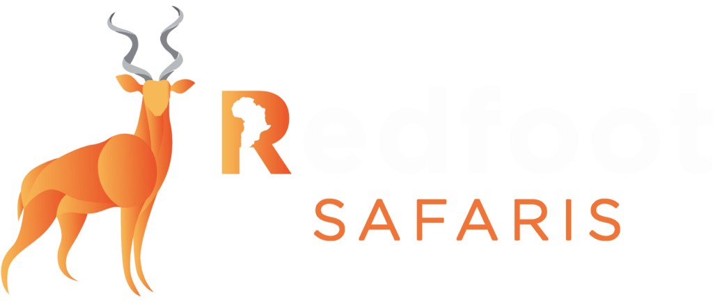 Red Foot White Wing Logo - Home - Redfoot Safaris