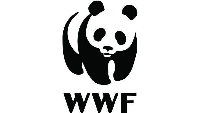 WWF Logo - WWF | nfpSynergy