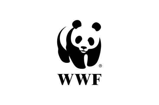WWF Logo - WWF logo | Graphic Design