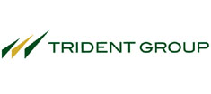 Trident Company Logo - File:Trident Group Logo.gif - Wikimedia Commons
