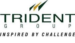 Trident Company Logo - Trident Group | Textiles Update