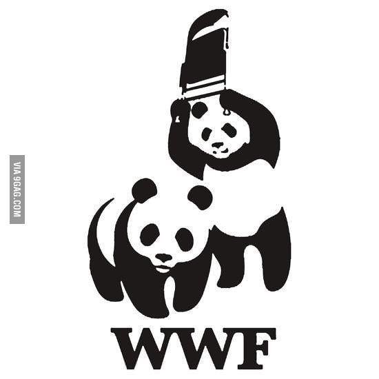 WWF Logo - WTF WWF | Ha ha | Funny, Wrestling, Hilarious