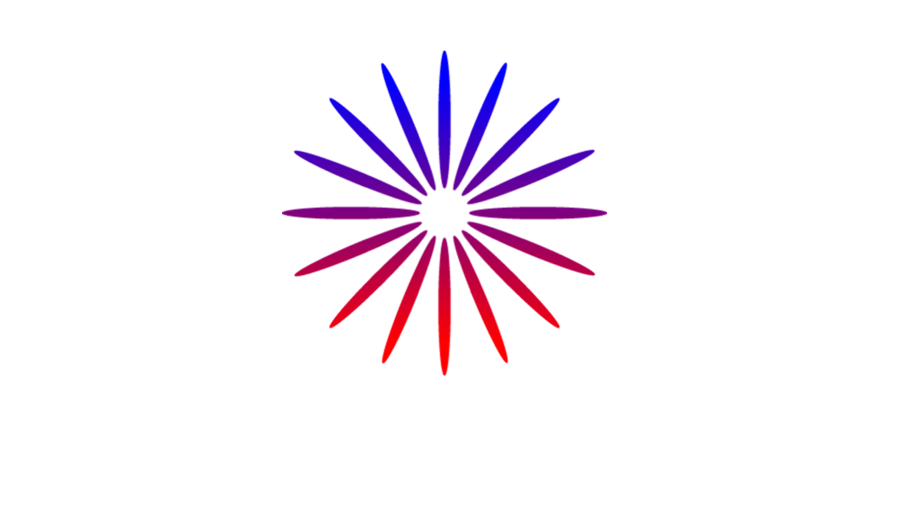 Star as Logo - NM Star Logo