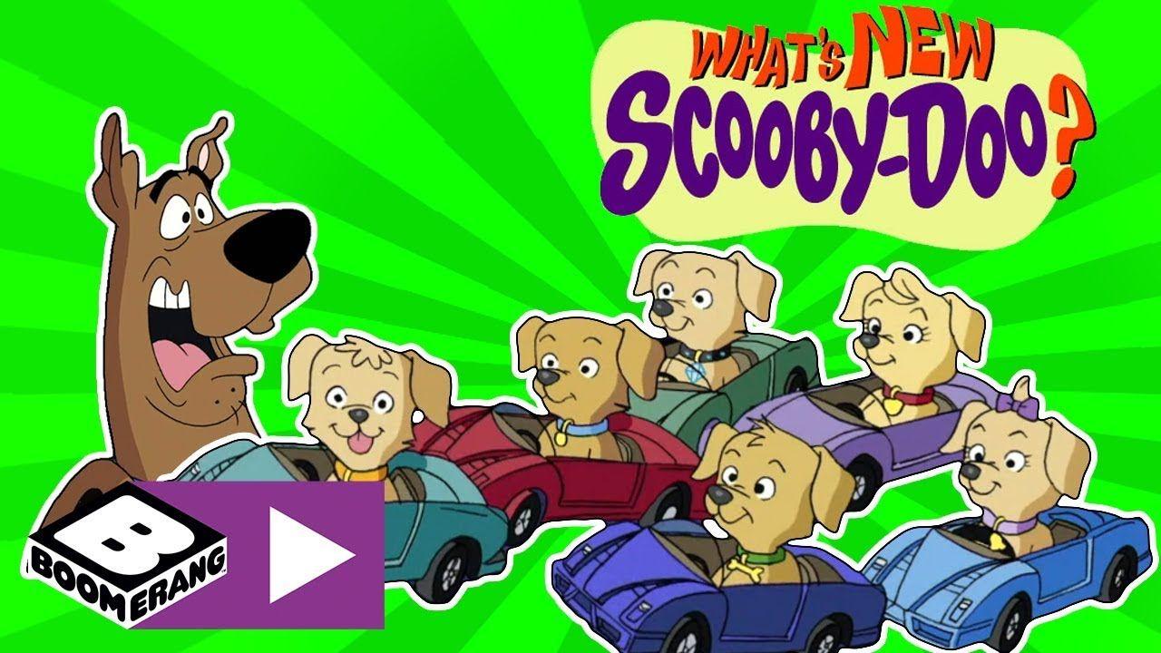 Scooby Doo Boomerang Logo - What's New Scooby-Doo? | Puppy Rescue | Boomerang UK - YouTube