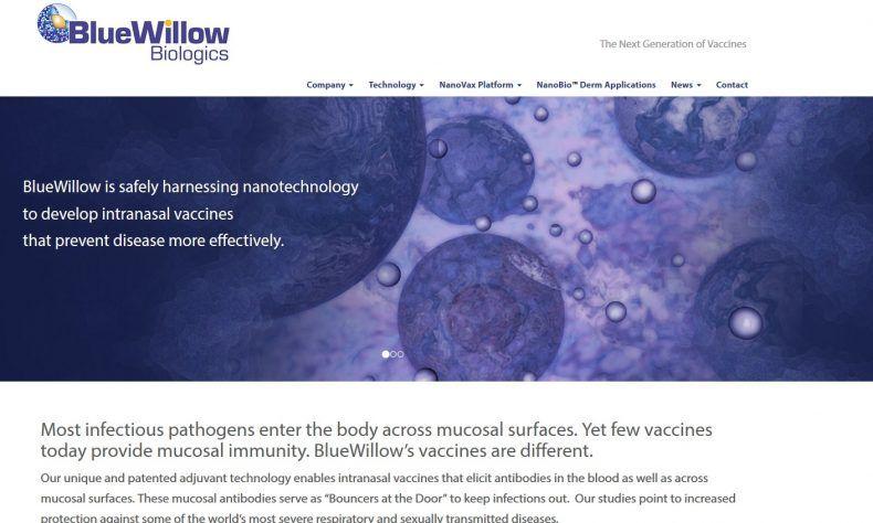 Blue Willow Company Logo - NanoBio Closes $10 Million Series A Round, Changes Name To ...