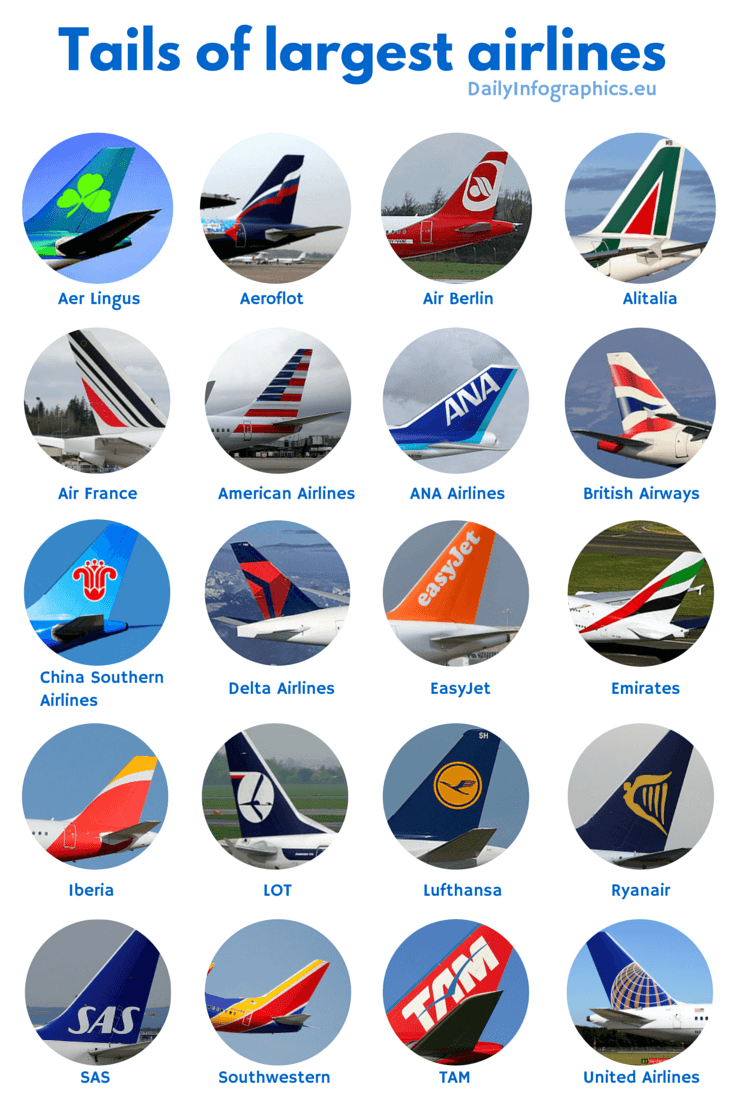 Largest Airlines Logo - Tails of Largest Airlines