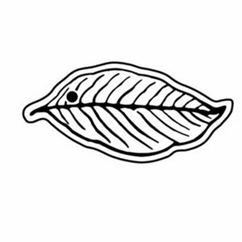 Tobacco Leaf Logo - Key Tag