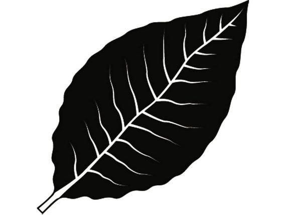 Tobacco Leaf Logo - Tobacco Leaf 1 Smoker Cigar Smoking Smoke Burning Smoke Blunt | Etsy
